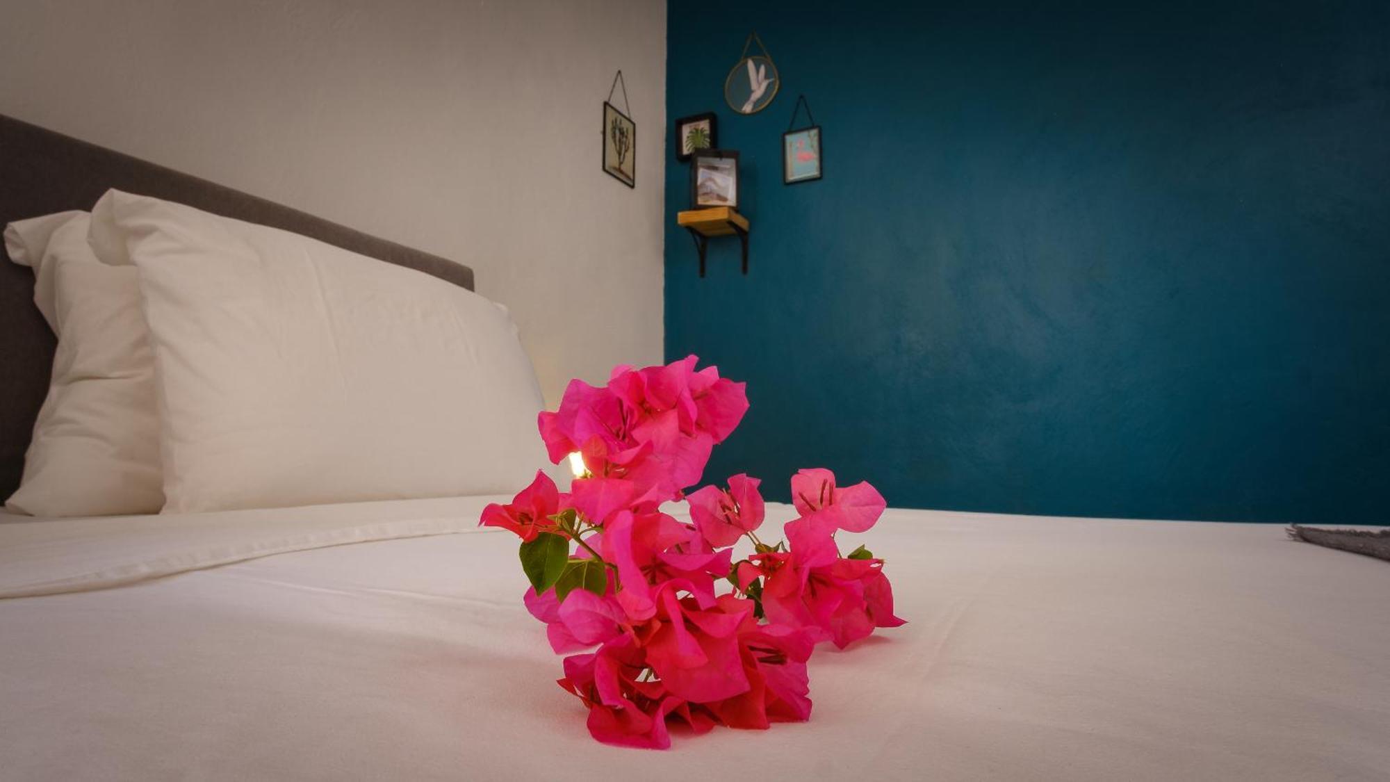 Saint Joris A Tiny Boutique Resort 威廉斯塔德 外观 照片